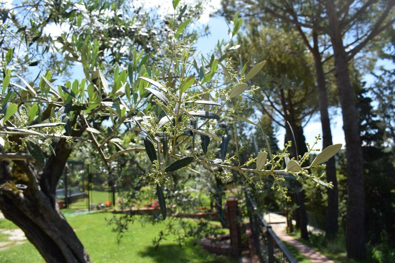 Casale Asciolo Bed & Breakfast บันโญ อา ริโพลี ภายนอก รูปภาพ